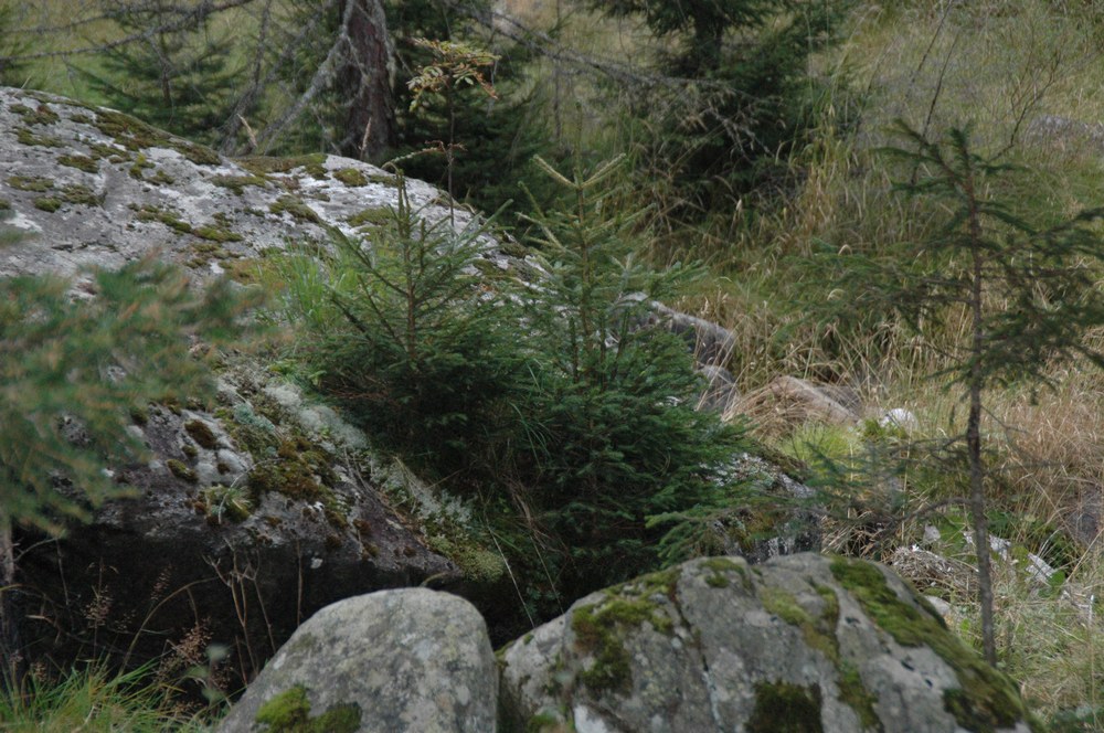 dsc_9070.jpg