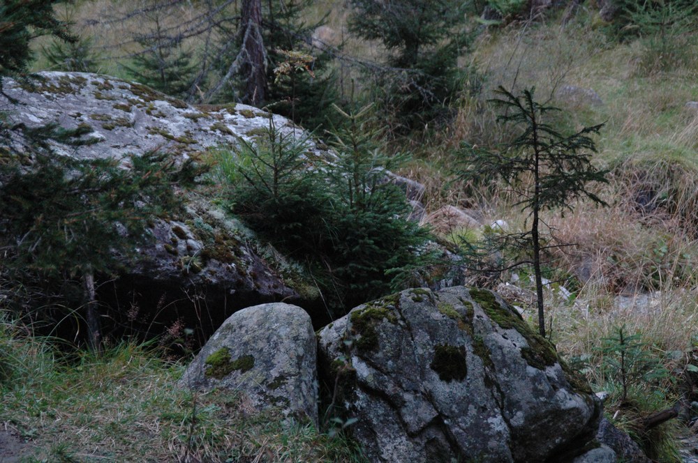 dsc_9071.jpg
