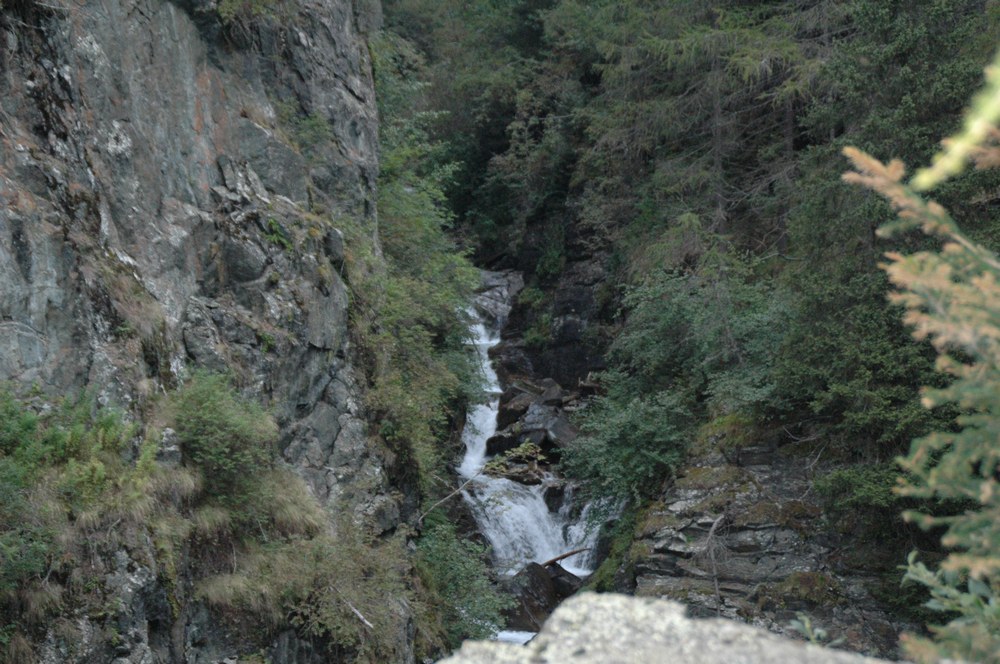 dsc_9083.jpg