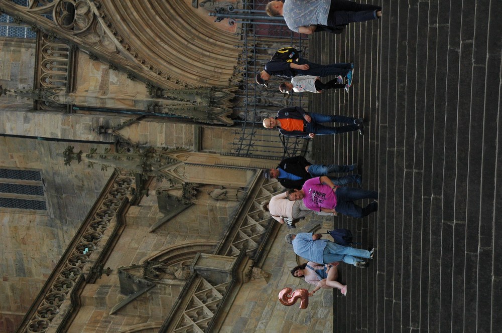 dsc_0237.jpg